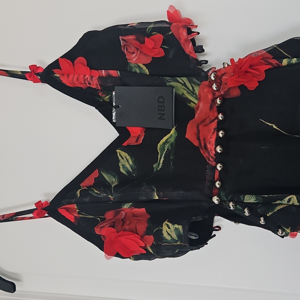 NBD Roses Are Red Skater Mini Dress - Picture 3 of 4